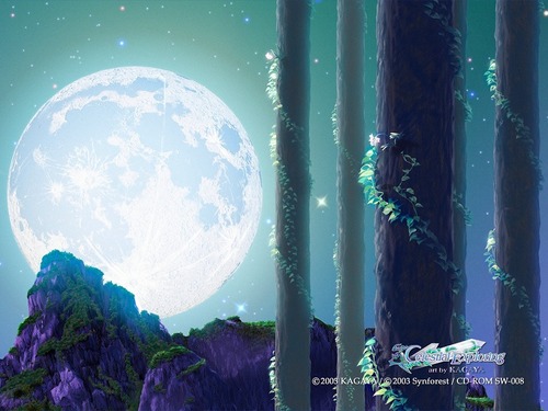 workmisson30's profile picture. people