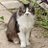 haru16306346's profile image