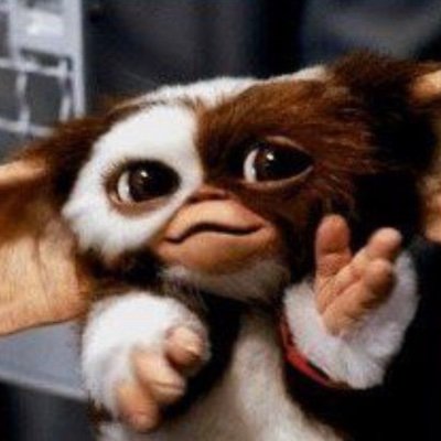 8fqZrEm2uVtlACz's profile picture. 