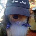 steven schiffman - @ssbcsjs - Twitter