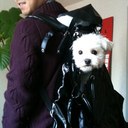 スーパーサブ - @saba_house - Twitter