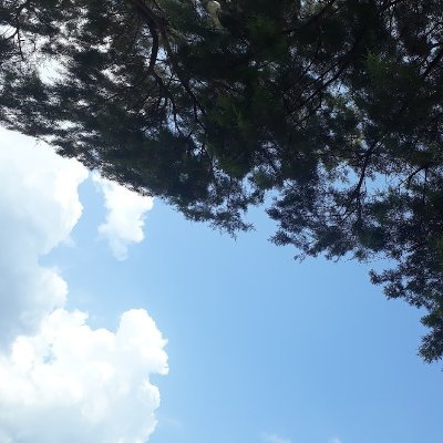 VaMos50214792's profile picture. 