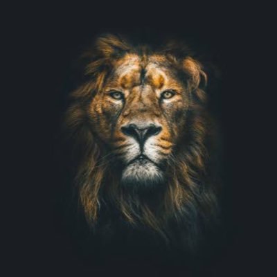 Serdarvtn's profile picture. 