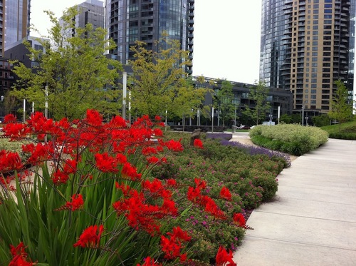 Neighborhood blog covering news and events in Portland's South Waterfront. http://t.co/RwTX1490ak