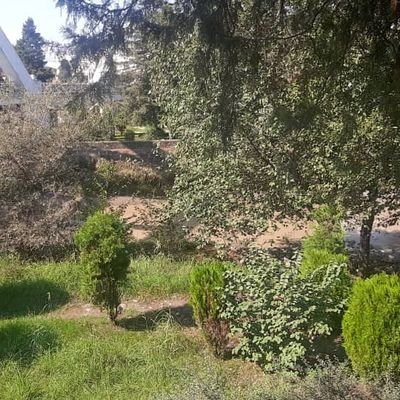 SaeidMa43996277's profile picture. Hi