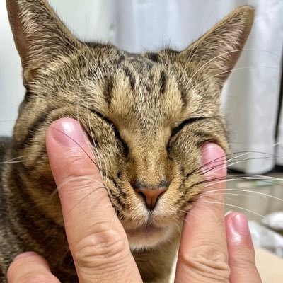 とらじろうの館さんのプロフィール画像