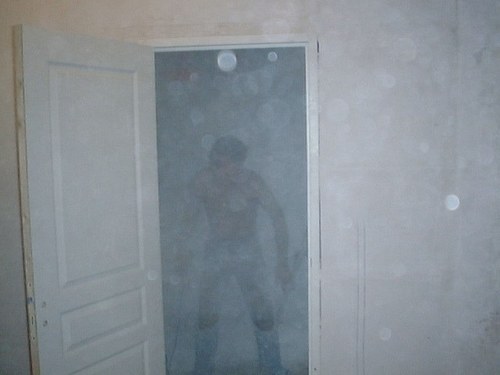 auseala's profile picture. 