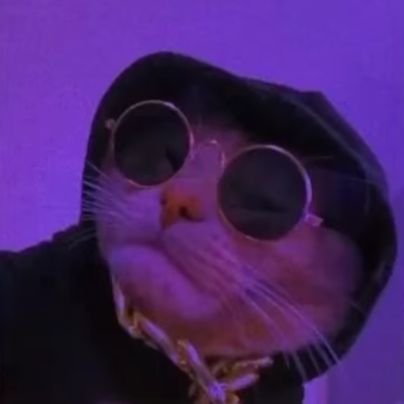 roses are red, everyone scream, my life's a joke and I'm the meme