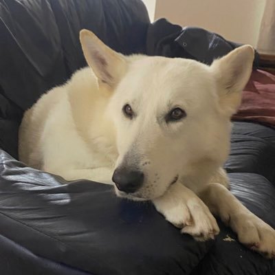 Jadedrhetoric's profile picture. I’m here for what everyone else is, arguments on the Internet