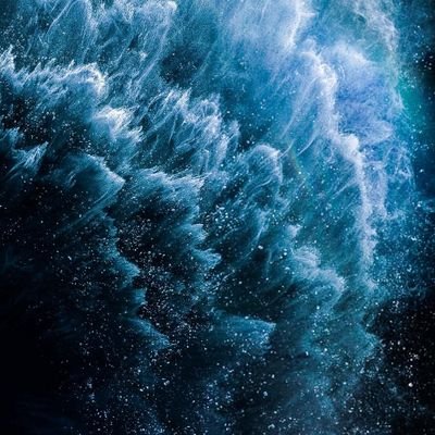 mowglibearr's profile picture. 