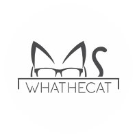 Whathe.Cat (@whathecat_blog) 's Twitter Profile