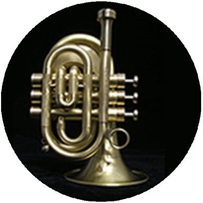 Star_Trumpet Profile Picture