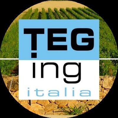 TEGing è un progetto condiviso per il Turismo EnoGastronomico.

☀️#reti #affiliati e #partner sono la nostra forza!

💥Visita il sito per saperne di più!