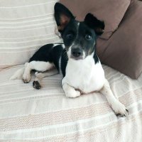 Albert Artero (@albertartero) 's Twitter Profile Photo