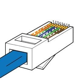 NebulizerCZ's profile picture. 