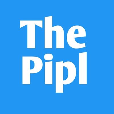 The Pipl Profile