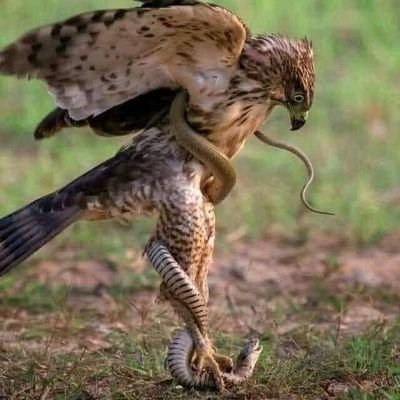 ZeeMiLL's profile picture. 