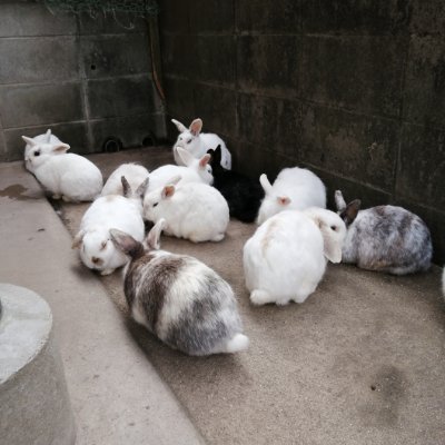 x0_blv's profile picture. トイレキャンセル界隈/1200ml、24時間