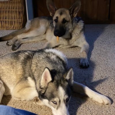 lavergne_arthur's profile picture. @michiganpatriot1 on TruthSocial Constitutionalist, Bass fisherman, semi amateur golfer. Conservative #MAGA #PATRIOT #TERMLIMITS #CLOSETHEBOARDER.