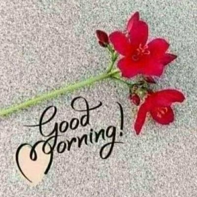 10b0c4fffd024b8's profile picture. 