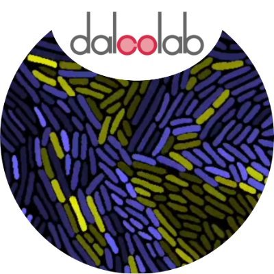 Dal Co Lab