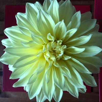 clivepack's profile picture. 