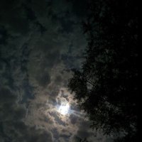 Shubham Rajput (@shubham3rajput) 's Twitter Profile