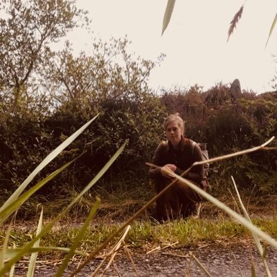 MollieDouthit's profile picture. Artist