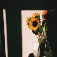 Rana (@rana_ahmed__) 's Twitter Profile