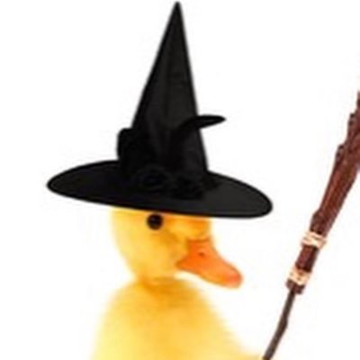 Duckさんのプロフィール画像