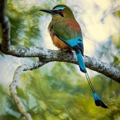 sasandoval29's profile picture. 