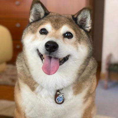 ちゃんたま❤️さんのプロフィール画像