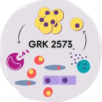 GRK2573 (@grk2573marburg) 's Twitter Profile Photo GRK2573 (@grk2573marburg) 's Twitter Profile Photo