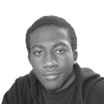 Wilfried L. Bounsi Profile