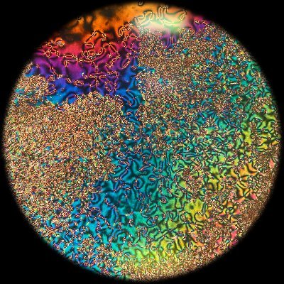 squishy physics enthusiast, among other things | scientist @ UPenn