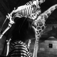 HMS Sirens (@hmssirens) 's Twitter Profile