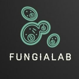 FunGIA_Lab ๐ฌ๐๐บ๐ทโป๏ธ Profile
