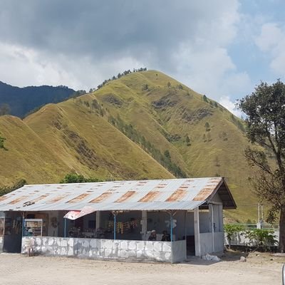 MrFortunio's profile picture. #AshArmy ✊ #flurarmy #flurdaily
#AP8testi #LiT🔥 #BainesyGives #dogecoin #Dogearmy #BNB #BSC $CAKE 
🎱Squad