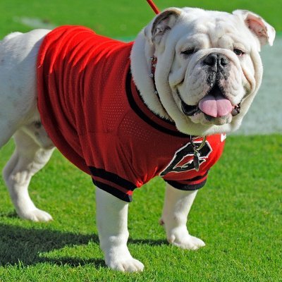 I love sports betting, trading cards, and DFS.  I know you are peaking at my profile bc you like something I tweeted.  #GoDawgs