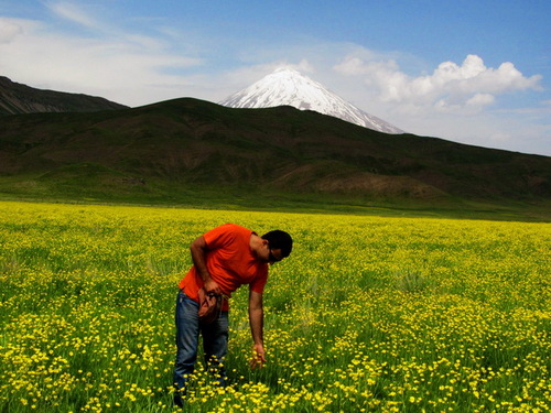 rezoohonarkar's profile picture. https://t.co/X9azTyusMl