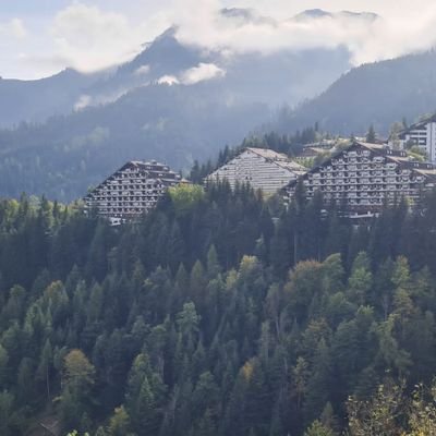 cowwwwboy's profile picture. 