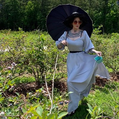 thesallystrose's profile picture. •Artist•Sometimes performer/actor
•Mom of rescued aliens •V🌿 
instagram: SallyStRose