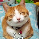 Vicki Morrow - @toreygate - Twitter