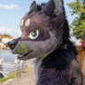 Iggi459's profile picture. Happy and friendly Husky from North Bavaria. Suiter, Gamer, Loves Food❤. Lovely taken by @scharasthefolf💍 ❤

https://t.co/hjSl9InGGm