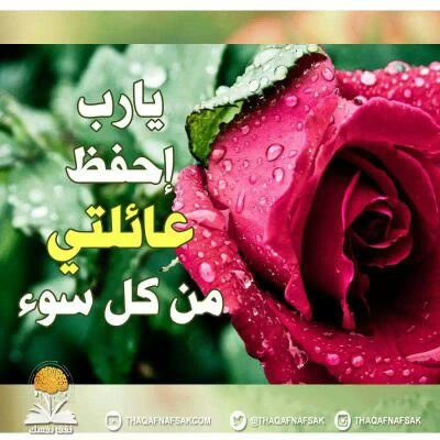 N675106cmallco1's profile picture. ‏لا اله الا انت سبحانك اني كنت من الظالمين