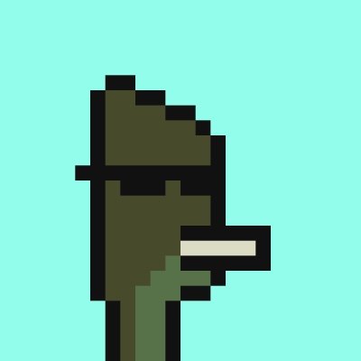 MrThugbird's profile picture. bird