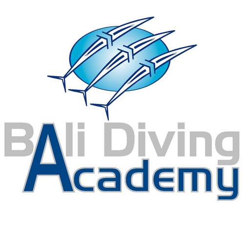 BaliDivingNow's profile picture. Bali Diving Academy- Your Diving company in Bali and Lombok. Since 1991.