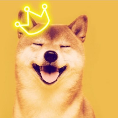 Thelifeofkizz's profile picture. #Shiba #TheQueenOfShiba #ShibaArmy #SHibainu