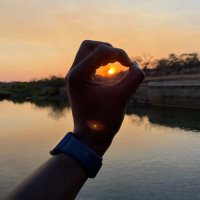 Muzungu (@m_munjanja) 's Twitter Profile