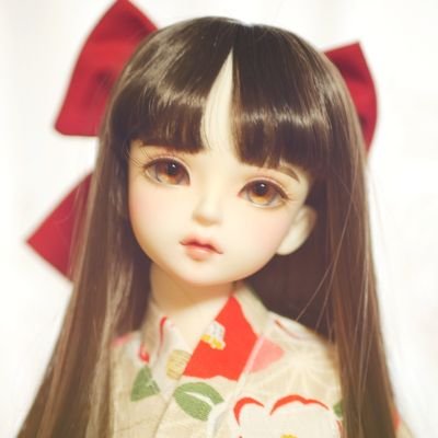 紫苑さんのプロフィール画像